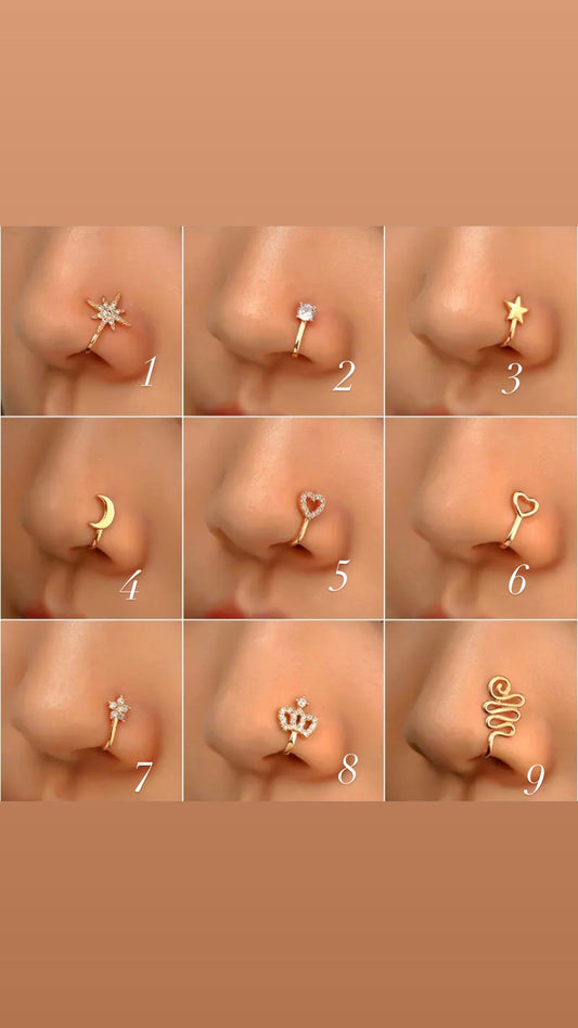 Nose Rings